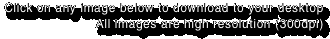 Click on any image below